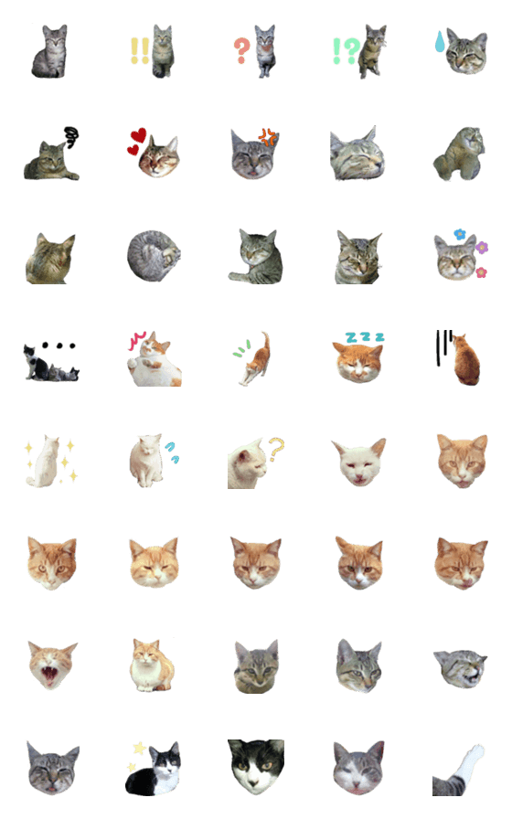 [LINE絵文字]我が家の猫たちの画像一覧