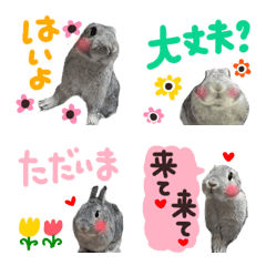 [LINE絵文字] 【うさぎ】使いやすい絵文字の画像