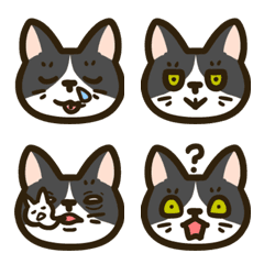 [LINE絵文字] ハチワレねこのゴゥの画像