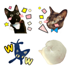 [LINE絵文字] Emoji.catの画像