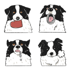 [LINE絵文字] Border Collie-Many Types of Mochiの画像