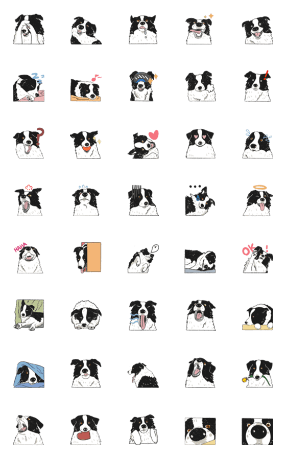 [LINE絵文字]Border Collie-Many Types of Mochiの画像一覧