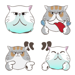 [LINE絵文字] 40 Emoji Persian catの画像