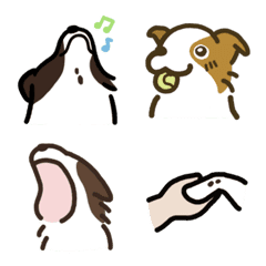 [LINE絵文字] Border collie LeiBooDongの画像