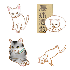 [LINE絵文字] いつも猫と一緒にの画像