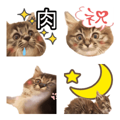 [LINE絵文字] 猫のベル2の画像