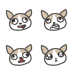 [LINE絵文字] Chihuahuaの画像