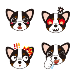 [LINE絵文字] Black Chihuahuaの画像