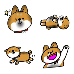 [LINE絵文字] gomashiba hanachan Emojiの画像