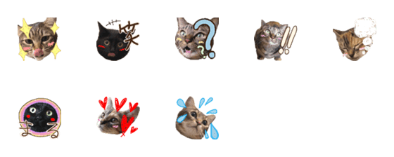 [LINE絵文字]MatsufamCatsの画像一覧