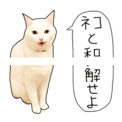 [LINE絵文字] 【つながる】ハク様の画像