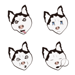 [LINE絵文字] WHITE AND BLACK DOGの画像