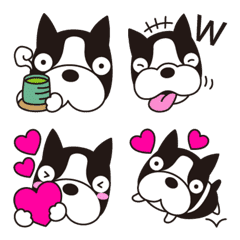 Line絵文字 ボストンテリア 犬絵文字 40種類 120円