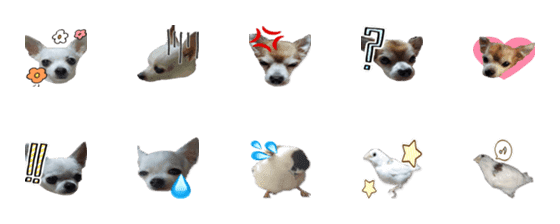 [LINE絵文字]queenrose0610 Emojiの画像一覧