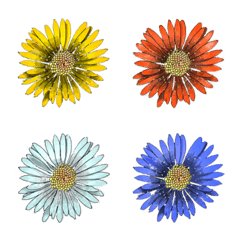 [LINE絵文字] Spring Flower(daisy)の画像