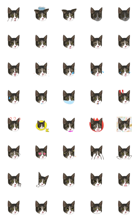 [LINE絵文字]The Cat expressionの画像一覧