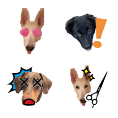 [LINE絵文字] N's dogs Emojiの画像