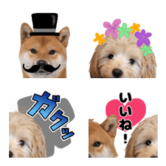 Line絵文字 かわいいペット2 柴犬 32種類 1円