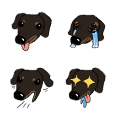 [LINE絵文字] Dachshund "Wooruru"の画像