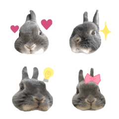 [LINE絵文字] Lovely Bunny Lilyの画像