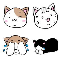 [LINE絵文字] ハチワレぽちゃ猫の絵文字の画像