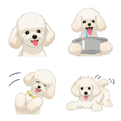 [LINE絵文字] トイプードル（犬）_クリームの画像