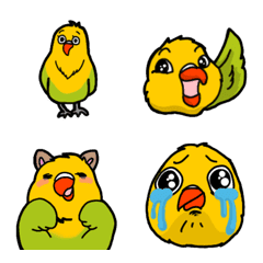 [LINE絵文字] ボタンインコのすーちゃんです！の画像