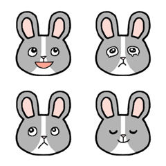 [LINE絵文字] ふきだしで喋る、うさぎのフルちゃんの画像