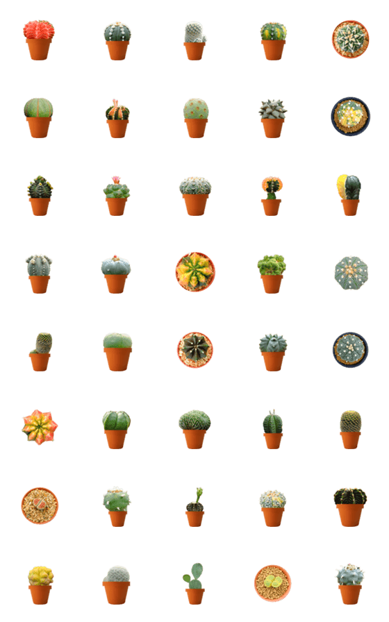 [LINE絵文字]Super cute Cactus 2の画像一覧