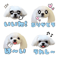 [LINE絵文字] マルチーズるぱんとあらんの絵文字の画像