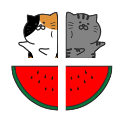 [LINE絵文字] Amodoodleくっつき猫1の画像