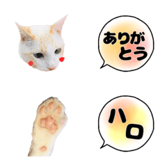 [LINE絵文字] 猫な日々の画像