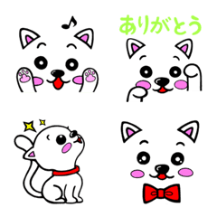 [LINE絵文字] 白ネコ''ユキちゃん''の画像