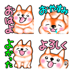 [LINE絵文字] 柴犬♡大人可愛い36 楽しい毎日の画像