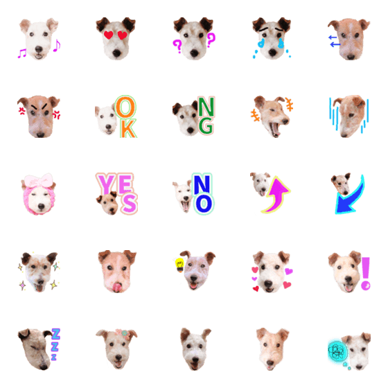 [LINE絵文字]毎日使えるハッピーテリアの写真で絵文字の画像一覧