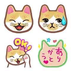 [LINE絵文字] 毎日★いつでも猫のルーシー【絵文字】の画像