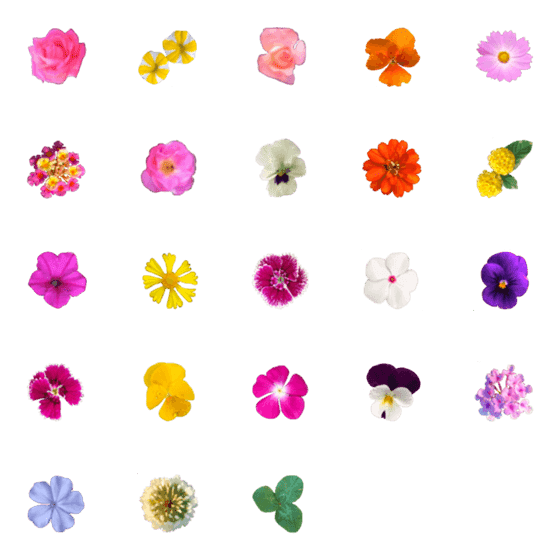 [LINE絵文字]花の写真の画像一覧