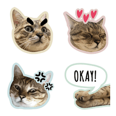 [LINE絵文字] JoJo Meowの画像