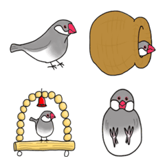 [LINE絵文字] 文鳥絵文字 むすちゃんだよの画像