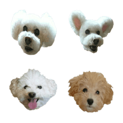 [LINE絵文字] my family emoji1の画像