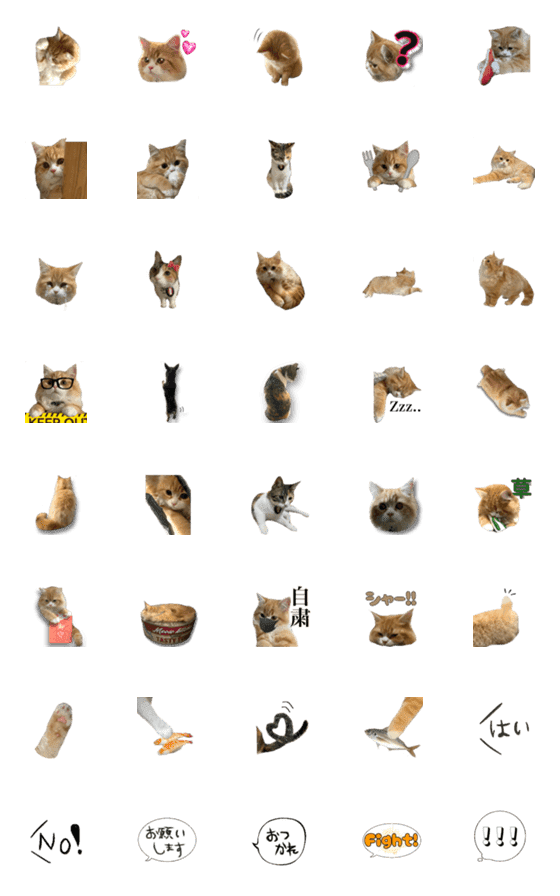 [LINE絵文字]Home's animals！の画像一覧