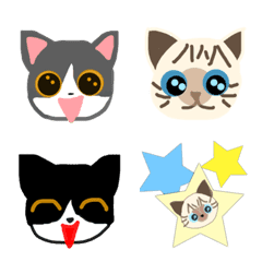 [LINE絵文字] 絵文字 ハチワレ シャムミックス 猫の画像