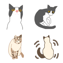 [LINE絵文字] 猫 ハチワレ and シャムミックスの画像