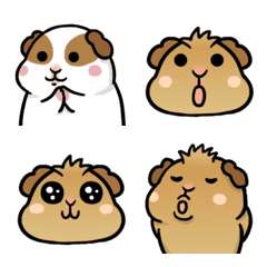 [LINE絵文字] Lovely Guinea Pig 2の画像