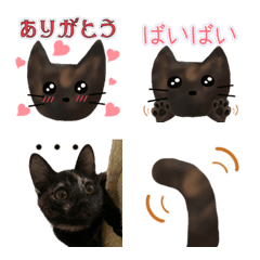 [LINE絵文字] サビ猫あんちゃんの絵文字の画像