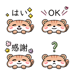 [LINE絵文字] 使いやすい♪もっちりリスの絵文字の画像