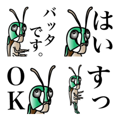 [LINE絵文字] バッタのバタ岡 絵文字の画像