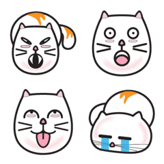 [LINE絵文字] Ngow Heng. What is a cat like face？の画像