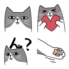 [LINE絵文字] Gray Cat Hachiの画像