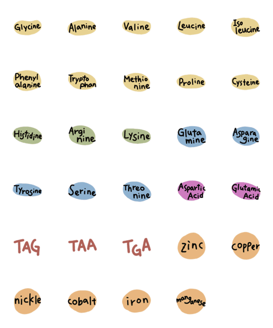 [LINE絵文字]amino acidの画像一覧